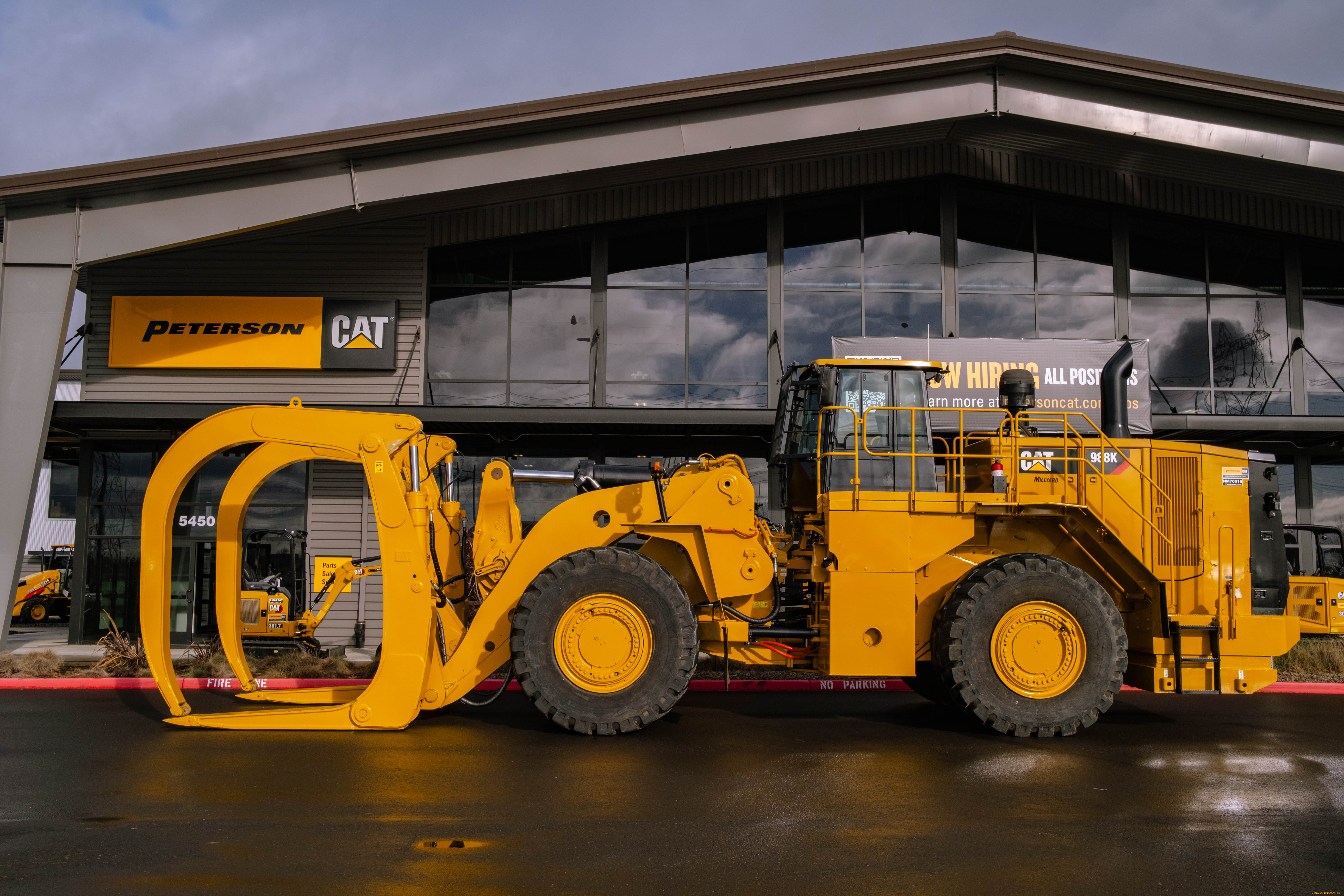 ,  , caterpillar